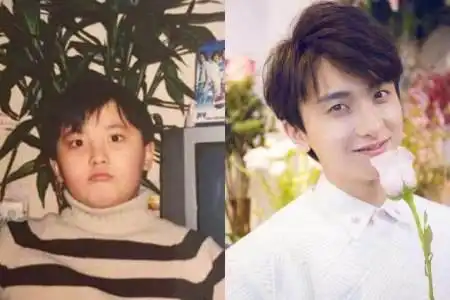 娱乐圈有哪些胖过的男明星