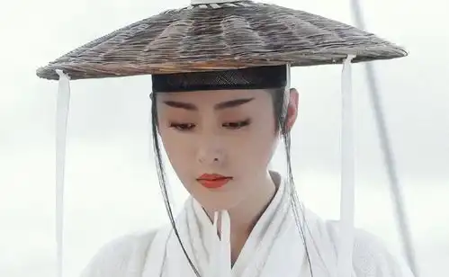 雪中悍刀行新海报暗藏玄机,张天爱扮演的南宫仆射太俊了