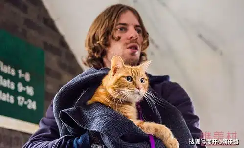 流浪猫鲍勃去世去年年底才开拍续集流浪猫鲍勃怎么红的