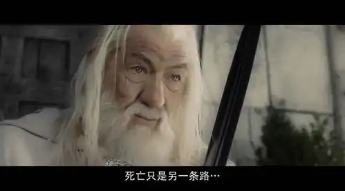 指环王3王者无敌
