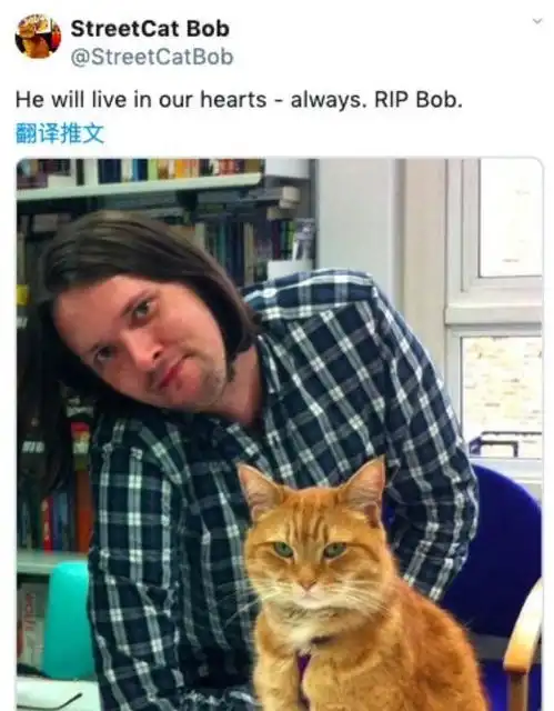 流浪猫鲍勃去世,影片续集鲍勃的礼物预计12月上映