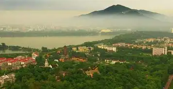 有一种情结叫城东老南京人最朴素的紫金山情怀
