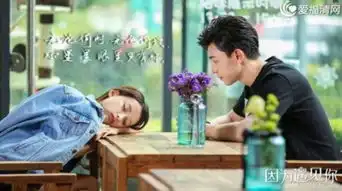 因为遇见你电视剧第31集32集分集剧情介绍3337集电视剧剧情预告
