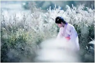 有一种美叫诗经,一生至少读一次