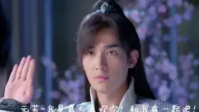 齐衡大人x元若哥哥三为爱学习
