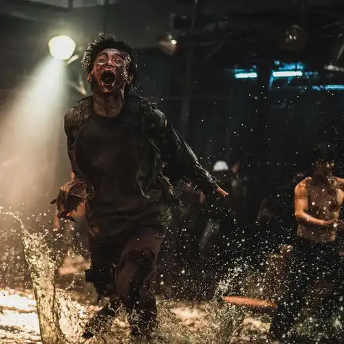 釜山行半岛你也配叫釜山行的续集
