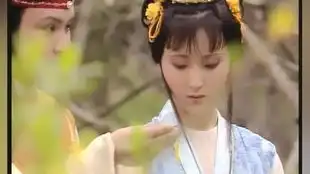 红楼梦薛姨妈留饭姨妈家的鹅掌鸭信糟的最好
