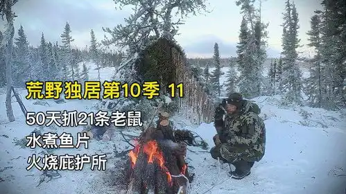 10人驯鹿岛荒野求生,50天抓21条老鼠水煮鱼片火烧庇护所
