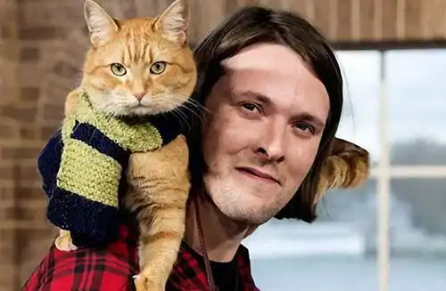 流浪猫鲍勃上帝有时候也能化身为一只大橘