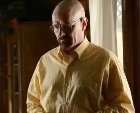 绝命毒师剧终季日期遭泄密或7月14日播出