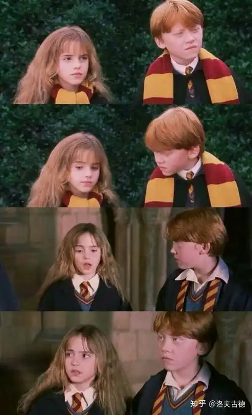 你见过最好看的哈利波特头像是什么