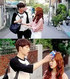 奶酪陷阱热播韩国校园题材剧全盘点