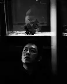 原创白夜追凶悬疑又重口,一定不要在吃饭的时候看