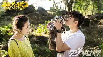 神犬小七2欧叶喜欢谁神犬小七2欧叶什么身份和鲍宇在一起了吗神犬小七2小七是什么狗男人世界
