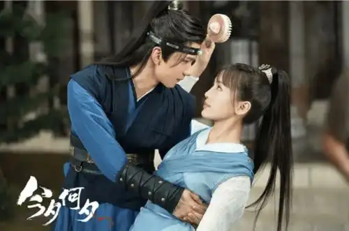 她在今夕何夕中,位居七大金钗之尾,年龄最小但是好评如潮