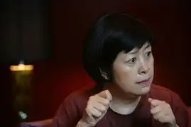 历时8年耗资1.18亿元新红楼赔了