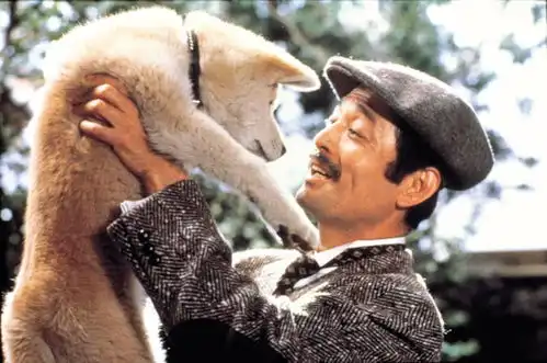 忠犬八公物语一只狗,一辈子只会爱上一个主人