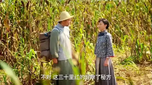 红高粱单家大院是非多,罗汉已经够够的了,决定不辞而别