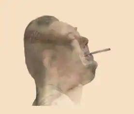 头文字d最后那个镜头中黄秋生的图如下中求高手帮弄出来