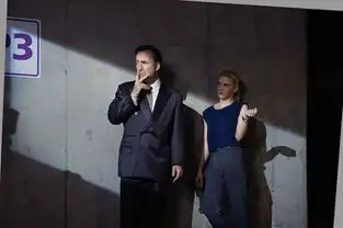 报告长官风骚律师鉴定完毕,值得一看
