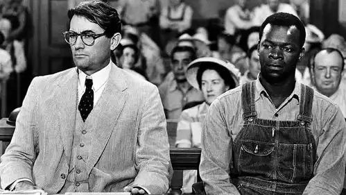 杀死一只知更鸟成年人最顶级的教养,是打破成见