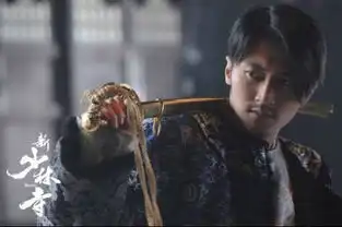 求新少林寺dvd下载地址搜狗问问