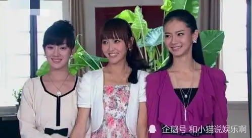 夏家三千金夏友善有多蠢利用儿子夺爱,孩子竟不是钟皓天的