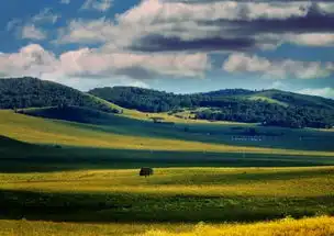 一步之遥内蒙最终封镜姜文成华语电影imax3d实拍第一人