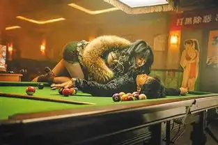 受益人的娱乐性,稀释了电影的社会表达综合
