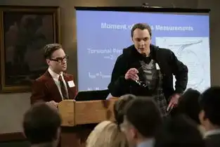 要和生活大爆炸说再见啦
