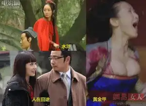 一夜爆红明星命运大不同赵薇稳坐一线谋女郎李曼变龙套
