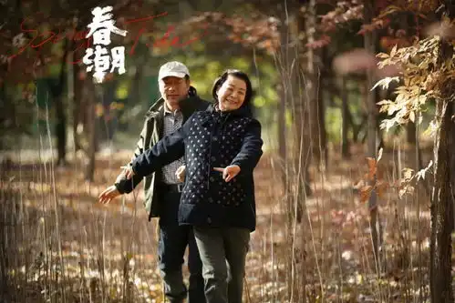 恭喜春潮荣获金鸡奖提名影节影展
