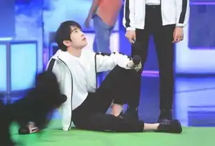 易烊千玺上快乐大本营的图片7