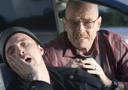 绝命毒师小镇版的国土安全
