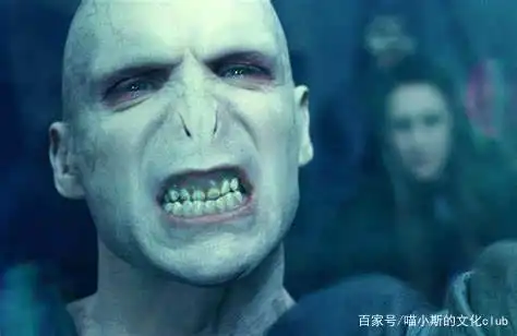 哈利波特伏地魔为什么会变成那个鬼样子

