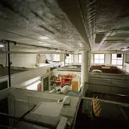 纽约新移民居住环境