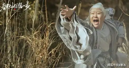 春光灿烂猪八戒剧照童星