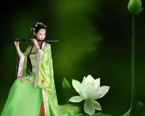 午夜兰花股市实战gssz
