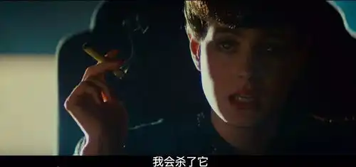 解密复制人灵魂深处,银翼杀手20492万字论文解析
