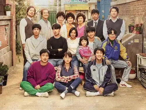 适合冬天刷的剧,请回答1988带给你平凡生活里的温暖
