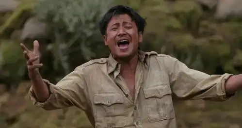 我的团长我的团演员表
