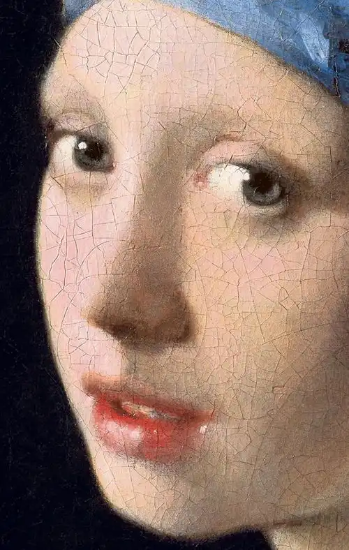 维米尔戴珍珠耳环的少女唯蒙娜丽莎的微笑可与之媲美
