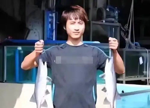 散打哥蹭狂飙热度,晒卖鱼旧照,圈内网红拿其与高启强作对比