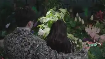一千零一夜花艺博弈凌凌七永恒的爱vs柏海祭奠爱情
