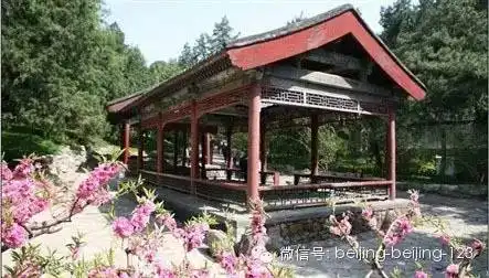 颐和园里的秘密终于天下大白了玄机重重
