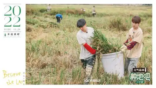 从种地吧塌房风波说起综艺观众是怎么变成明星粉丝的

