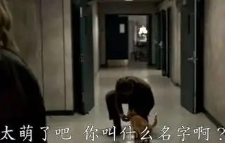 惊奇队长猫咪古斯是什么来历橘猫古斯真实身份揭秘
