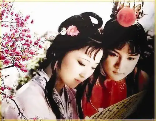 红楼梦中最热闹的情节是什么最有趣的情节是什么最凄惨的情节是什么