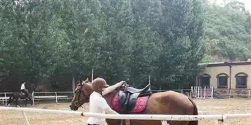 人民日报披露郑州违建马场,易烊千玺新剧学骑马

