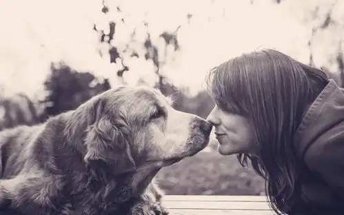 9.8万克隆活动过半,热度不减,生命的延续或许你可以换一种新的方式